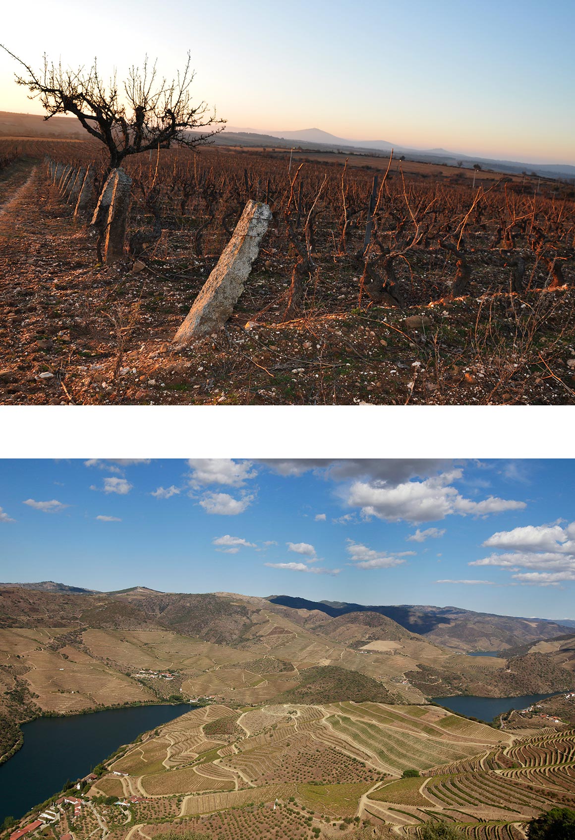 beyra-douro2 Douro-Tal