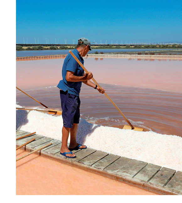 Salzernte von Flor de Sal an den Salinas do Samouco in Portugal