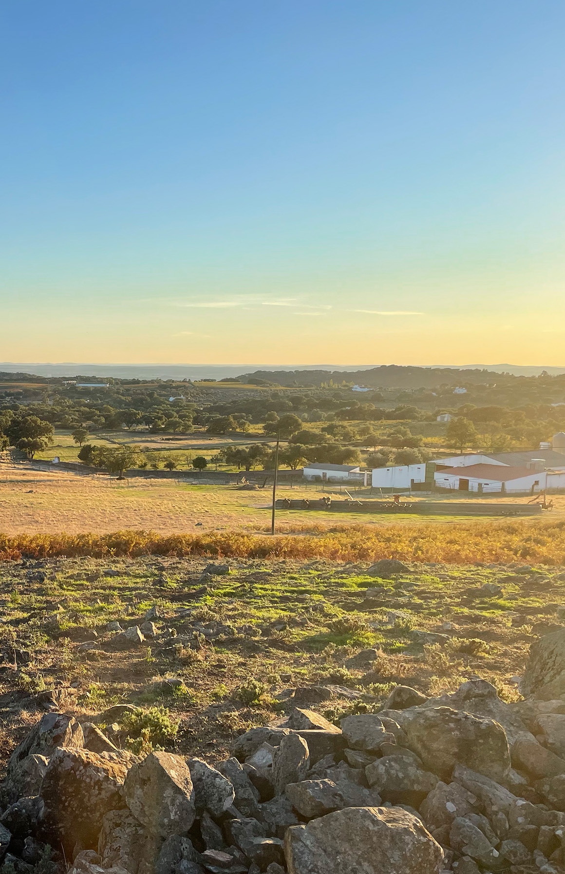 alentejo_boden Blick auf die weiten Felder
